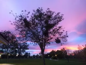Pioneer Park