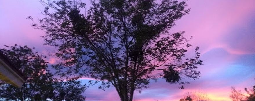 Pioneer Park