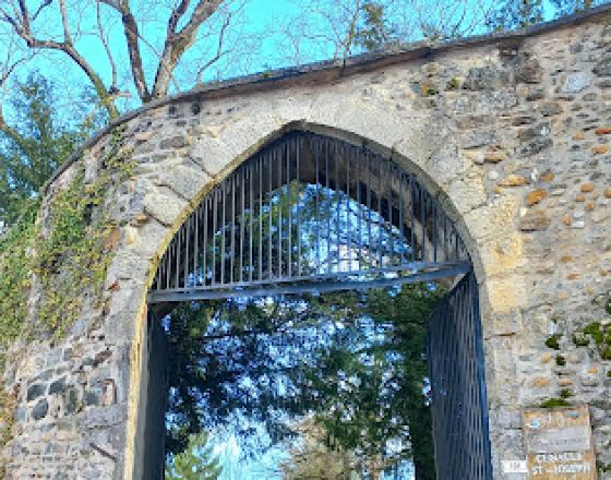 科隆別索尼約 自由行套票