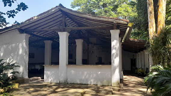 Elevado de Yaritagua