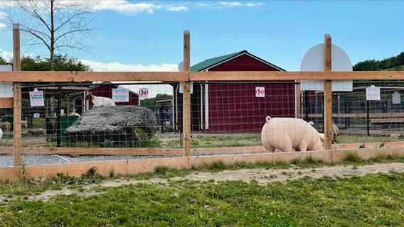 The Big Apple Petting Zoo