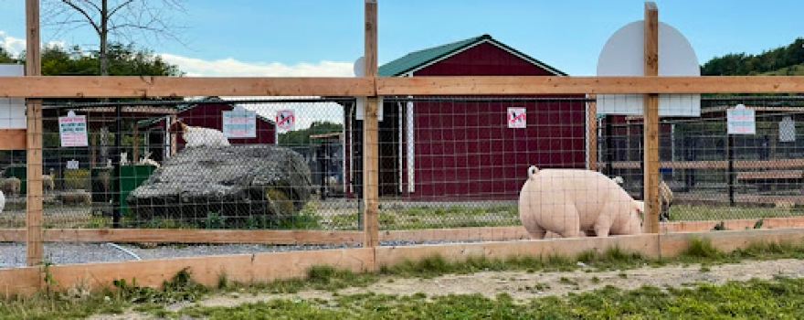 The Big Apple Petting Zoo