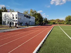 Stadium "Branichevo"