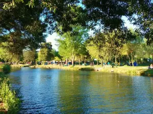 Plaza de Armas of Curanilahue