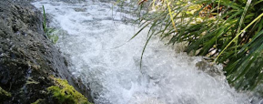 Aydamoun Village Park