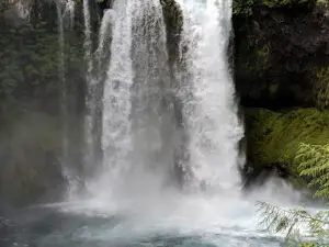 McKenzie River
