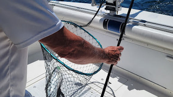 Sturgeon Bay Outdoors