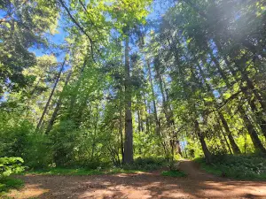Lloyd Knox Park