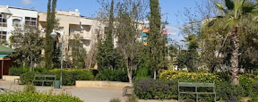 Parc local