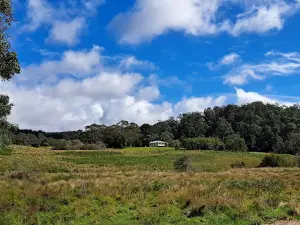 Werrikimbe National Park