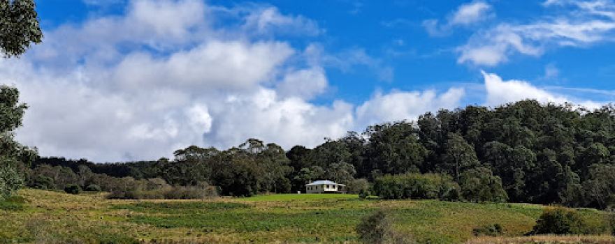 Werrikimbe National Park