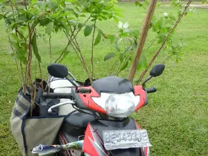 Taman Tirta Admiral R.Soedomo Sinta