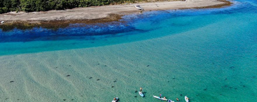 ESKINZO SURF SCHOOL