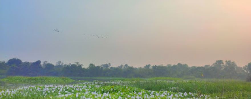 Markanda(Kansoba) Talav near Bilt Paper Mill Colony Illur-Ashti road