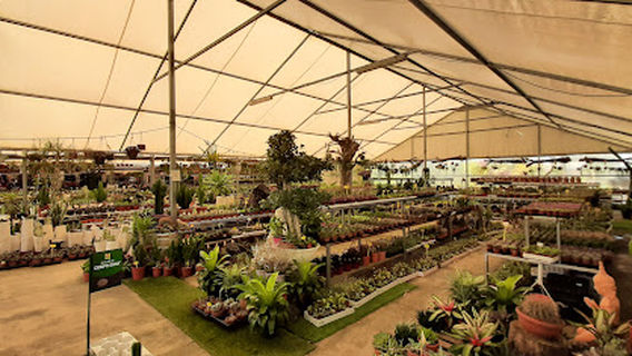 Lusoverde Garden Center