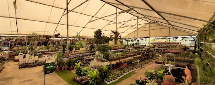 Lusoverde Garden Center