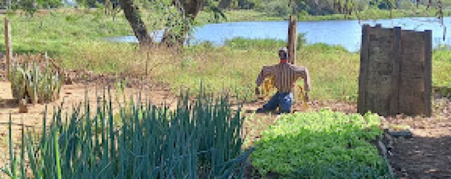 Lagoa da Campo Verde