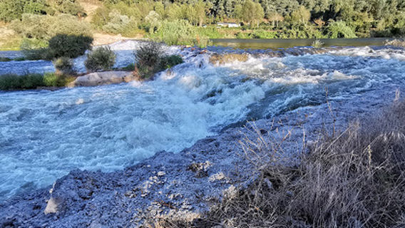 Parque Campismo Municipal de Penacova