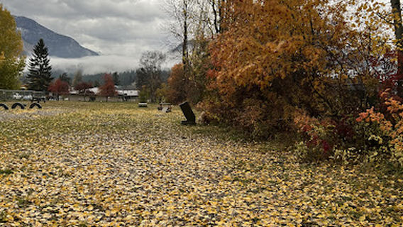 Golden Off Leash Dog Park