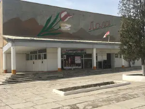 Кинотеатр Лола