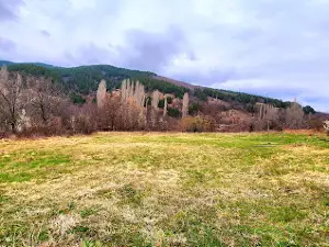 Kriva