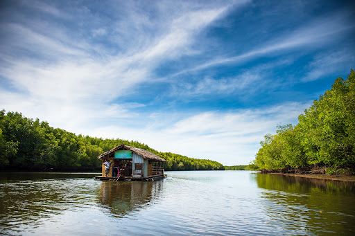 Ban Nam Rap Mangrove Forest