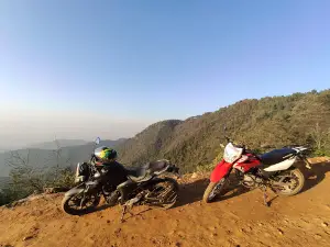 Godavari Forest
