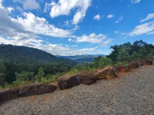 Mama Gertie's Hideaway Campground