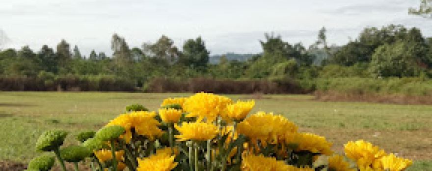 LAPANGAN SEPAK BOLA JUMARAMBA