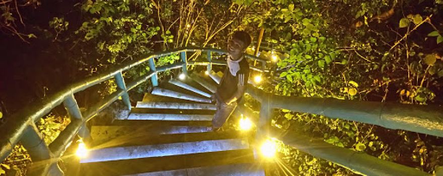 Hồng Hưng