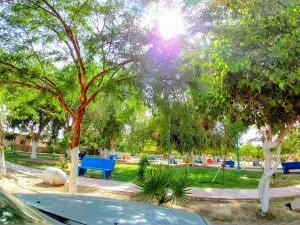 Delta Park