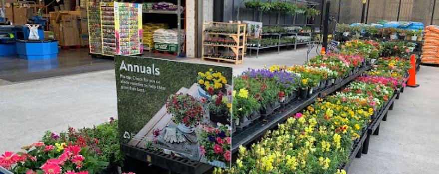Walmart Garden Center