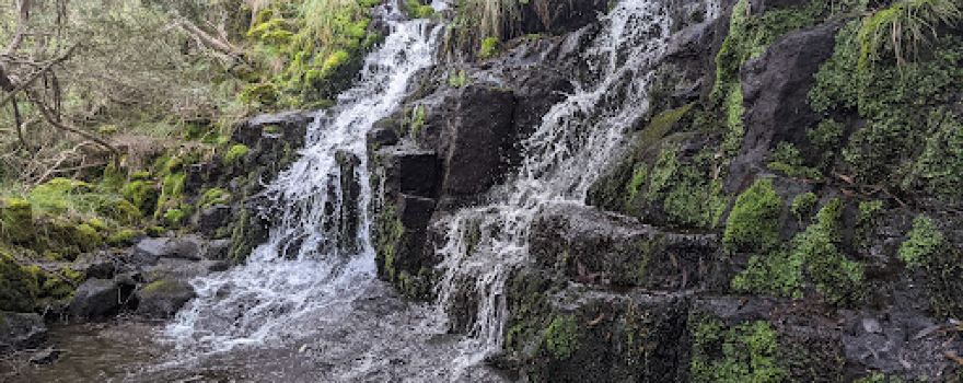 Carmichael Falls Walk