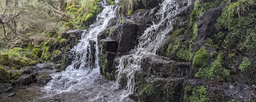 Carmichael Falls Walk