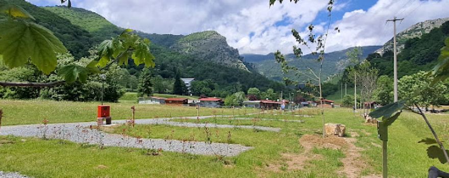 Campeggio Alpino
