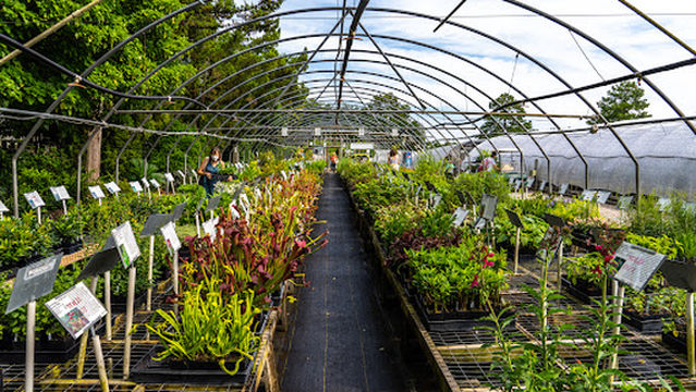 Juniper Level Botanic Garden