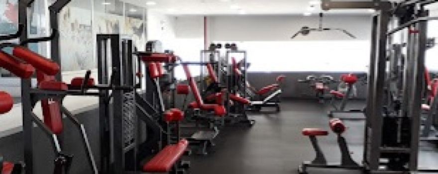 Best Gym Club