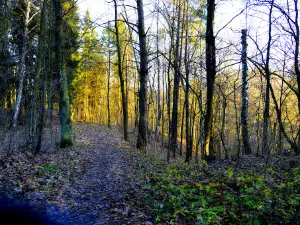 Park Nad Symsarna