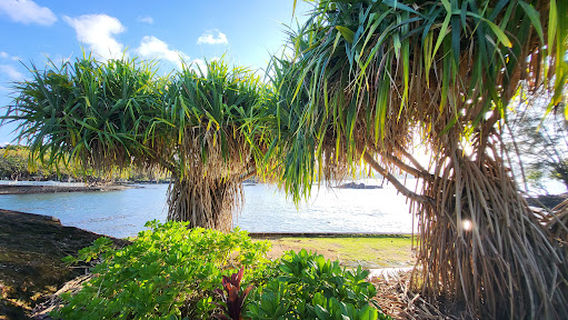 Moku Ola / Coconut Island