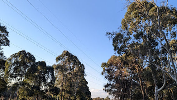 Murray Clewett Wetlands - (Kearneys Spring) ##