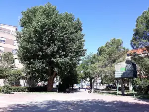 Jardinillos Municipales.