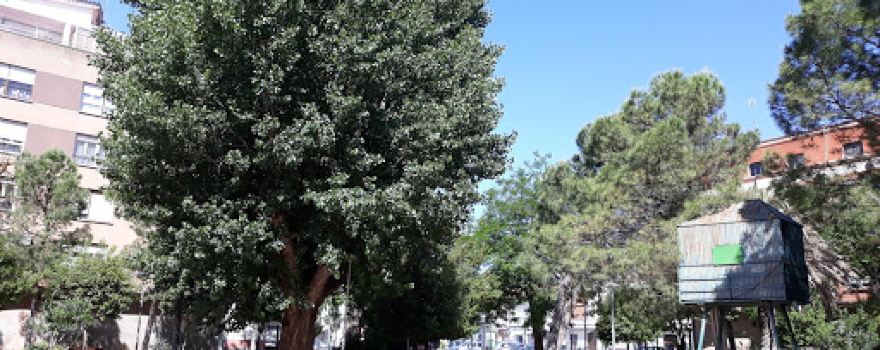 Jardinillos Municipales.