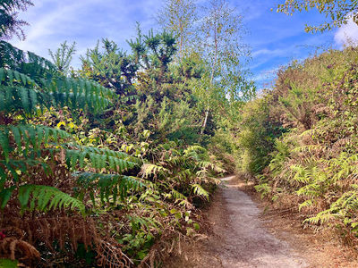 National Trust - Dunwich Heath and Beach