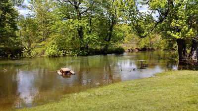 Kiasutha Recreational Area