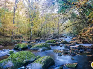 Le saut de la Brame