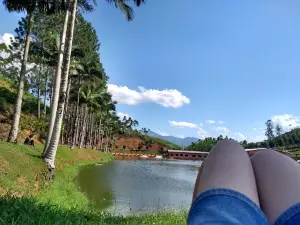 Restaurante e Pesqueiro Lagoa da Passarela