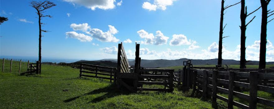 Anawhata Farm Regional Park