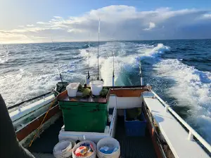 Awesome SA Charters
