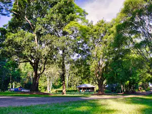 Cedar Grove camping area, Amamoor State Forest