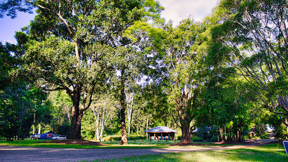 Cedar Grove camping area, Amamoor State Forest
